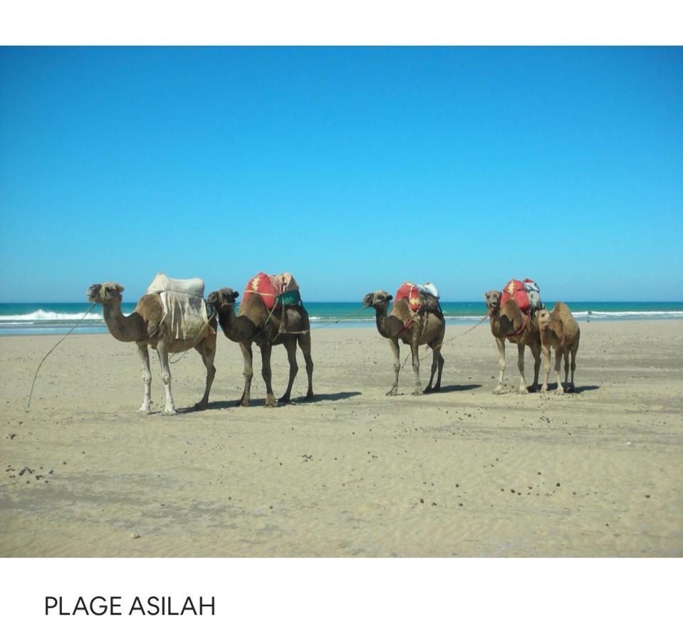 Tanger/Asilah: Appart 50M2 Face Mer Et Piscines, 5 Places, Tout Equipe+Wifi+Clim Apartment Briech Luaran gambar